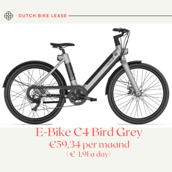 Aanmelden E-Bike C4 Bird Grey