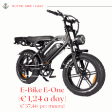 E-Bike Diablo E-One