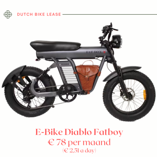 E-Bike Diablo Fatboy