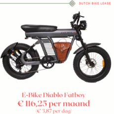 E-Bike Diablo Fatboy